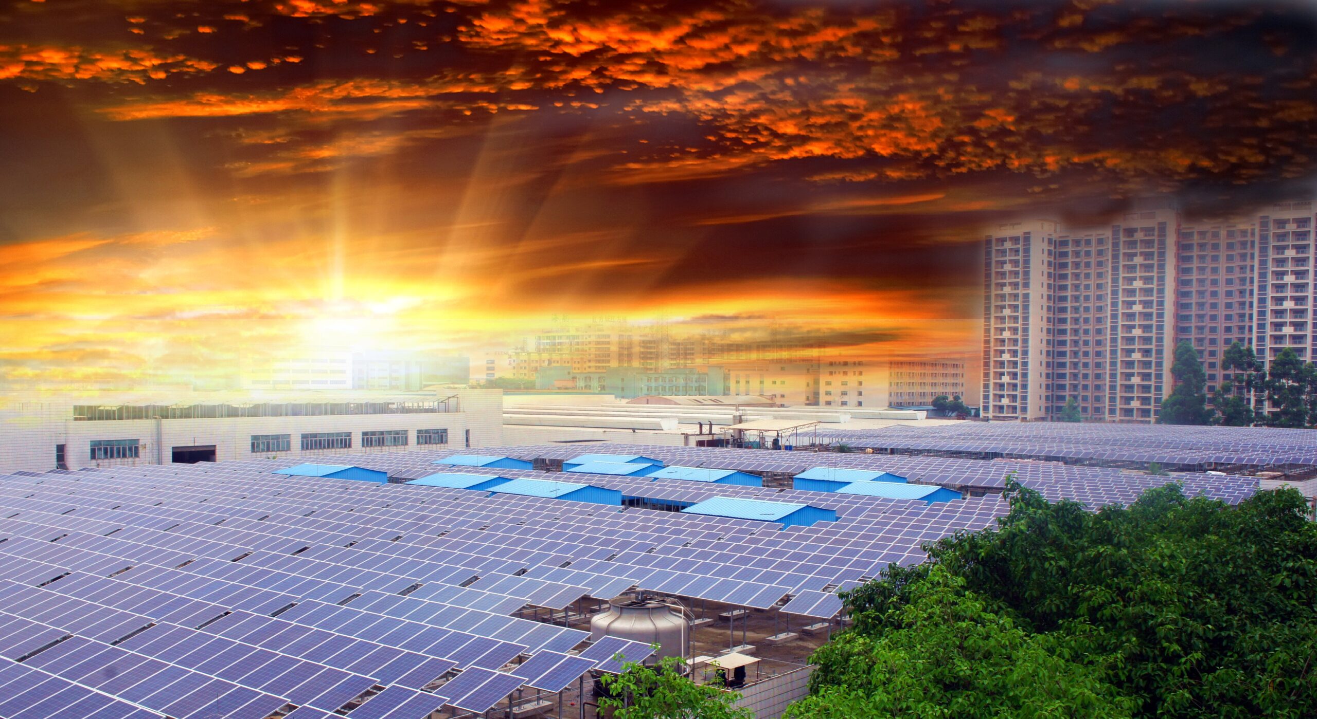 Panneau solaire photovoltaïque